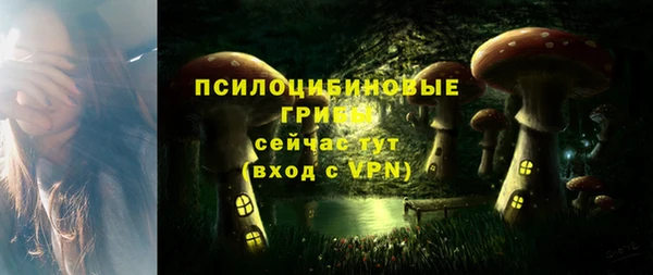 МДПВ Абаза