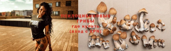 МДПВ Абаза