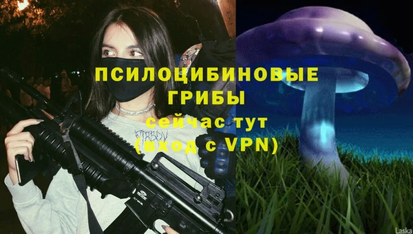 МДПВ Абаза