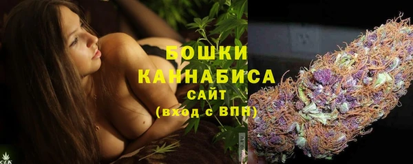 гидра Алексеевка